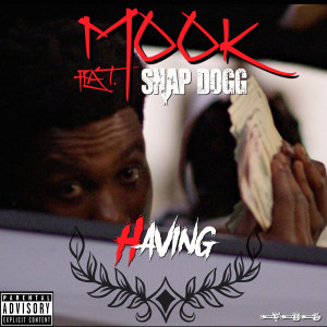 Having (feat. Snap Dogg) (Explicit)
