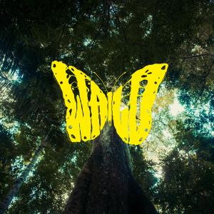 ดาวน์โหลดและฟังเพลง Wald พร้อมเนื้อเพลงจาก Marteria
