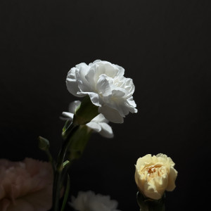 Listen to Daydream song with lyrics from JON SEBAS