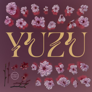 Hugh Hardie的专辑Yuzu