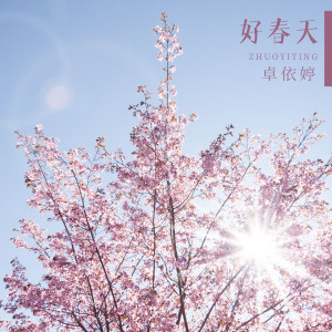 Dengarkan 迎春花 lagu dari 卓依婷 dengan lirik
