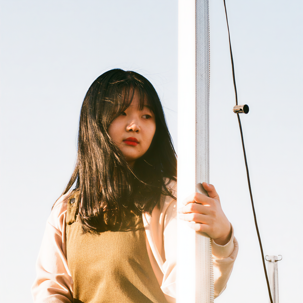 Jung ji Young