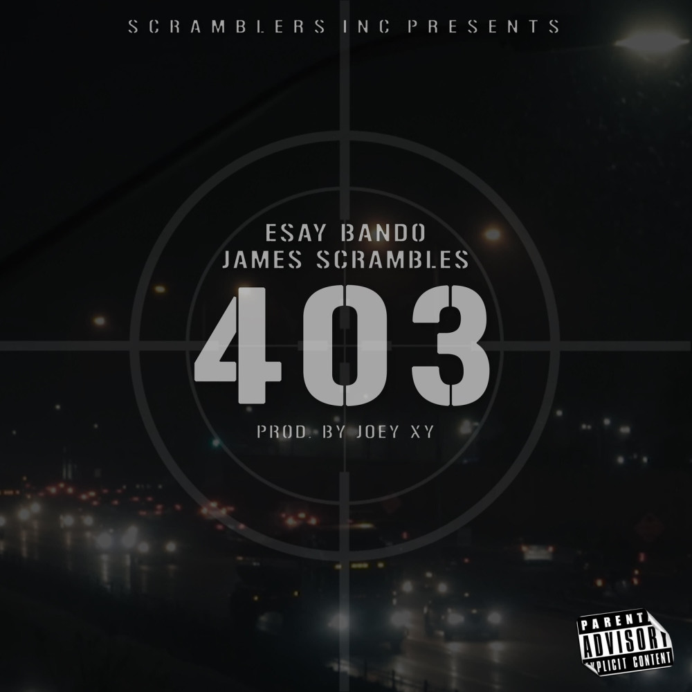 403 (Explicit)