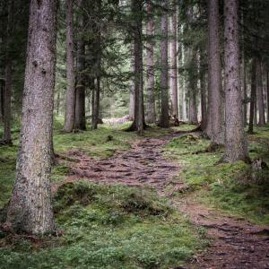 Listen to Close Your Eyes song with lyrics from SPA