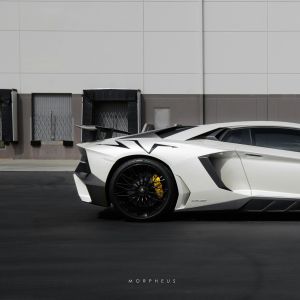 Listen to WhiteBoyRick song with lyrics from Morpheus