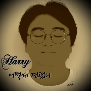 Listen to 어떻게 견뎠니 song with lyrics from 해리