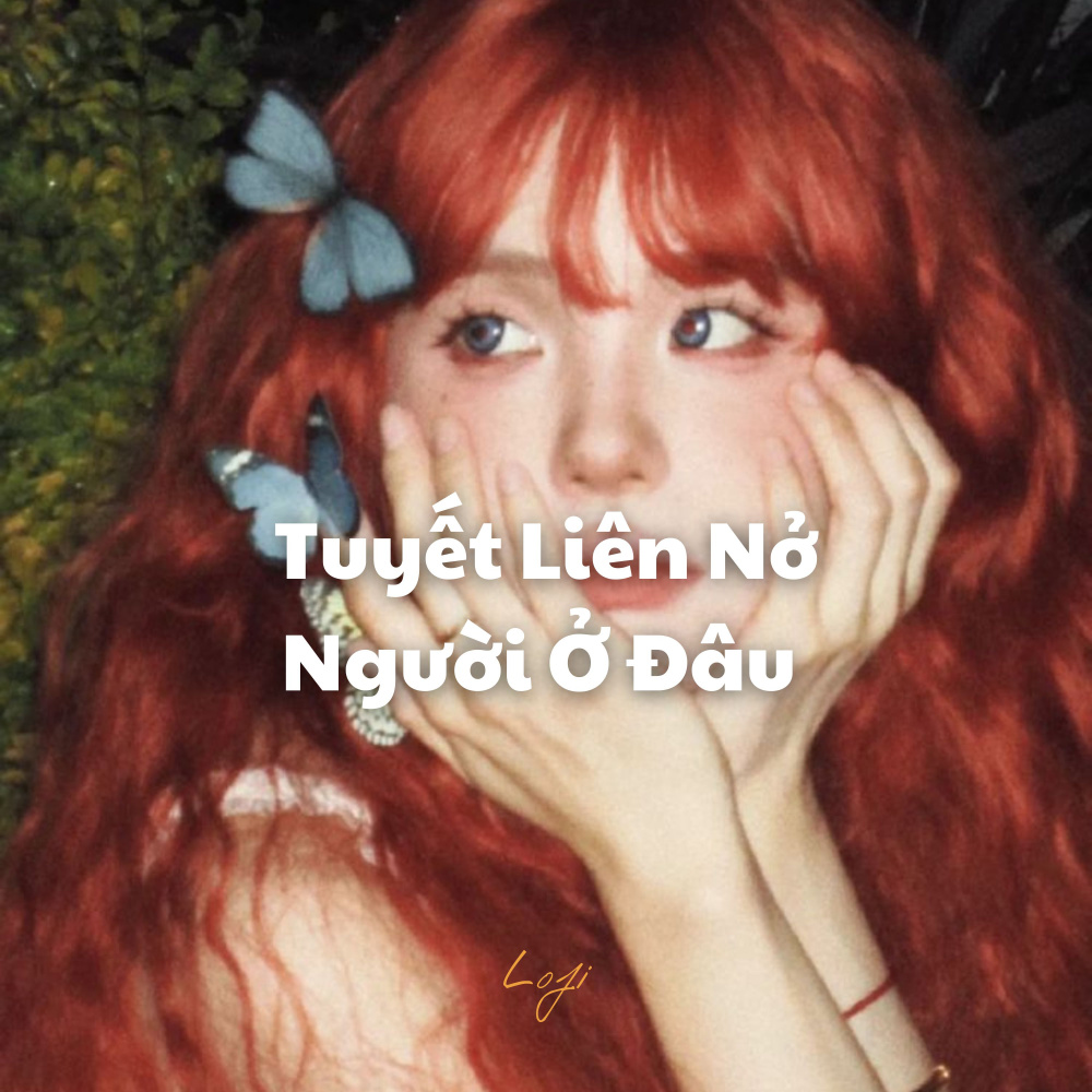 Tuyết Liên Nở Người Ở Đâu (Remix|- Beat)