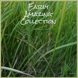 收聽Maryy Vael的Tsk歌詞歌曲