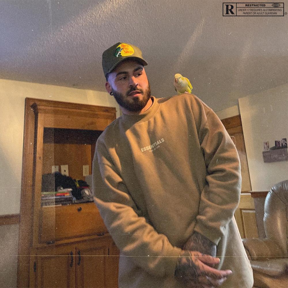 Like Me (Explicit)