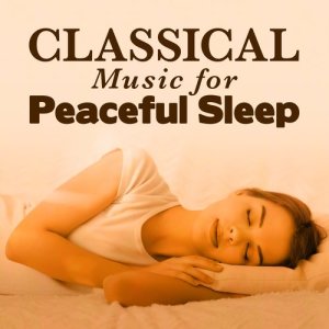 ดาวน์โหลดและฟังเพลง The Carnival of the Animals: XIII. The Swan (其他) พร้อมเนื้อเพลงจาก Charles Camille Saint-Saens