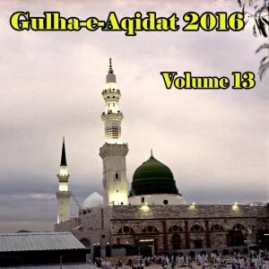 收聽Muhammad Mohsin Raza Qadri的Ya Hazrat Ghous Aghisna歌詞歌曲