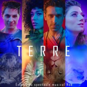 ดาวน์โหลดและฟังเพลง Terre (Extrait du spectacle musical "NOÉ") พร้อมเนื้อเพลงจาก NOÉ, La force de vivre