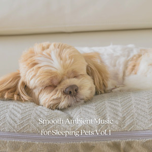 Album Smooth Ambient Music for Sleeping Pets Vol. 1 oleh Sleeping Music For Dogs