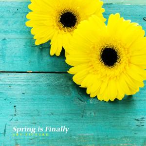 Dengarkan Then, Spring lagu dari 하늘그림 dengan lirik