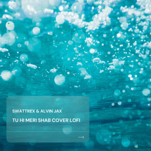 Listen to Tu hi meri shab (Lofi Version) song with lyrics from Swattrex
