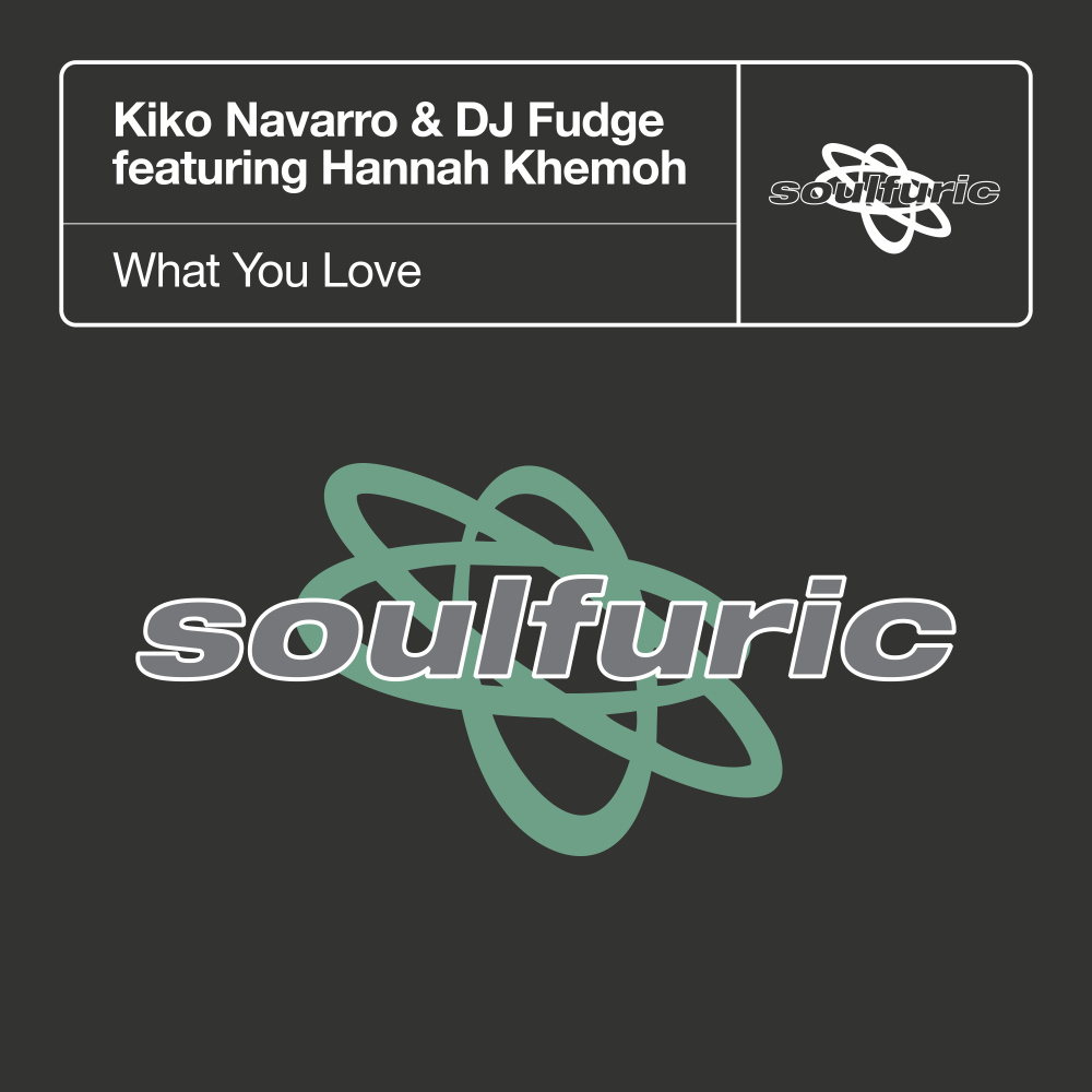 What You Love (Extended Mix)