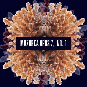 ดาวน์โหลดและฟังเพลง No. 1, Vivace พร้อมเนื้อเพลงจาก Kimy