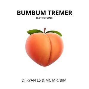 DJ RYAN LS的專輯BUMBUM TREMER ELETROFUNK