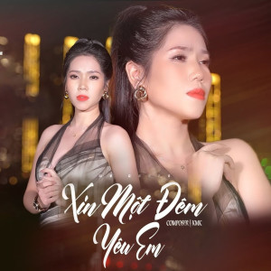 NhacPro Remix的專輯Xin Một Đêm Yêu Em (Remix)