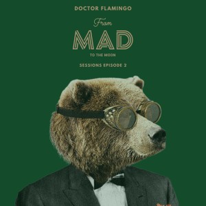 收聽Doctor Flamingo的Drive My Car (MAD Remix)歌詞歌曲