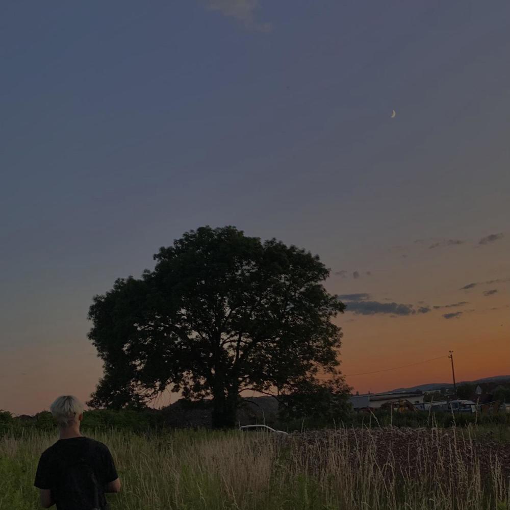 Skies