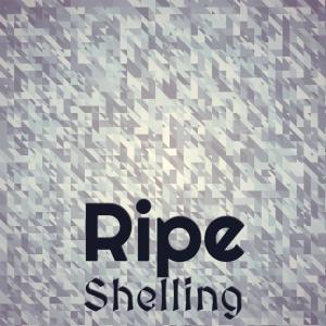 Album Ripe Shelling from Various Artists