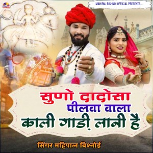 Album Suno Dadosa Pilwa Wala Kali Gadi Lani Hai from 