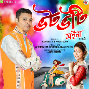 Listen to Bhot Bhoti Moina, Vol. 3 song with lyrics from Raju Chetia