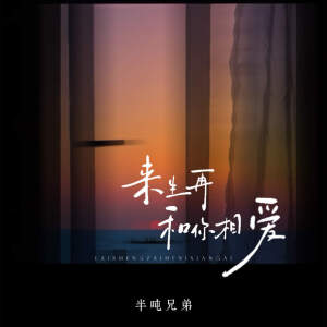 Listen to 来生再和你相爱 (DJ慢摇版) song with lyrics from 半吨兄弟