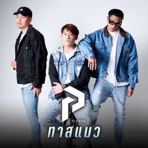 Listen to ทาสแมว song with lyrics from Please