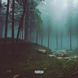 Listen to NEVER (prod. blemeego, kinsage|Explicit) song with lyrics from lil tan3r