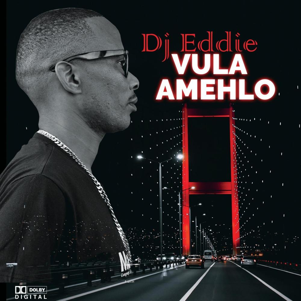 Liyeza (feat. Elliker & Thembi Mona)