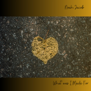 Listen to What Was I made For? song with lyrics from Noah Jacob