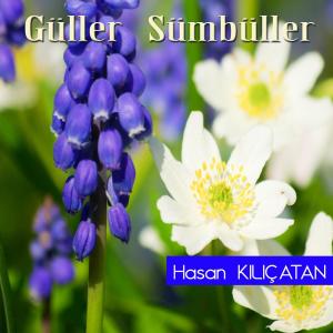 Album Güller Sümbüller from Hasan Kılıçatan