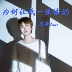 收听王薇的为何让我一生惦记 (DJ氛围版)歌词歌曲