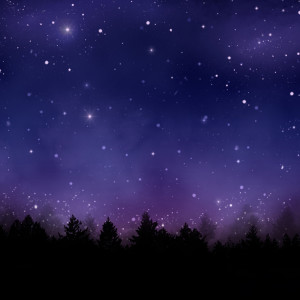 ดาวน์โหลดและฟังเพลง My Favorite Song พร้อมเนื้อเพลงจาก Sleep Sounds