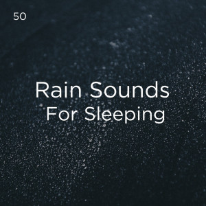 Dengarkan lagu Suara Hujan Untuk Tidur nyanyian Rain Sounds dengan lirik
