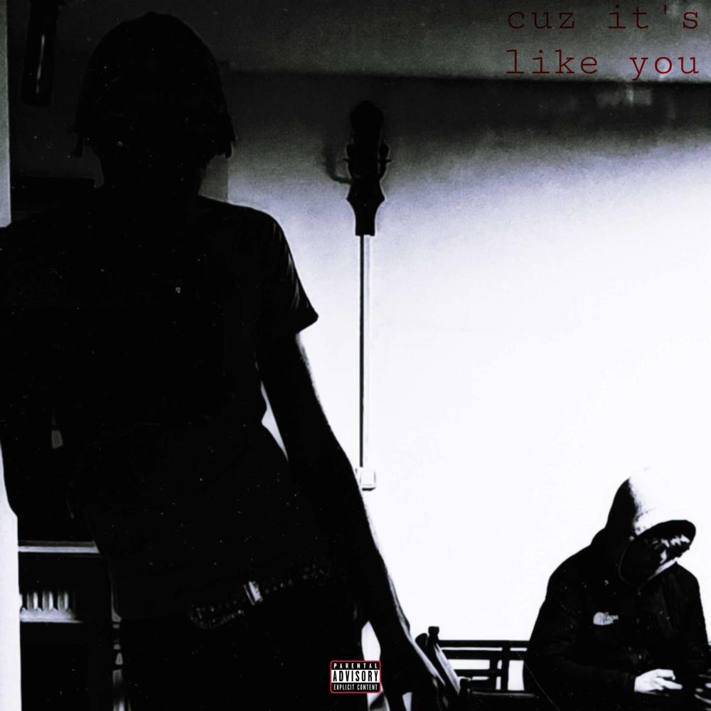 Cuz It's Like You (Explicit)