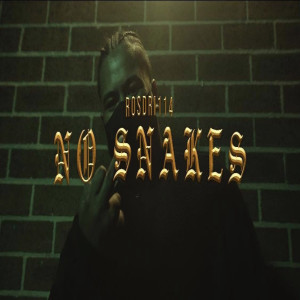 收聽ROSDRI114的No Snakes (Explicit)歌詞歌曲