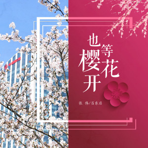 收聽張偉的也等櫻花開歌詞歌曲