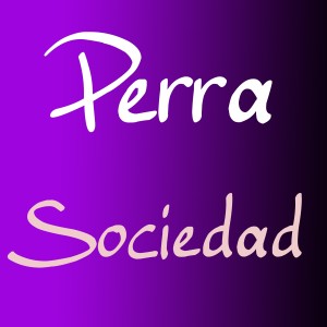 ดาวน์โหลดและฟังเพลง Perra Sociedad (Explicit) พร้อมเนื้อเพลงจาก Chucky J Nuni