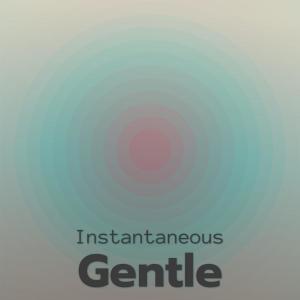 Instantaneous Gentle dari Various