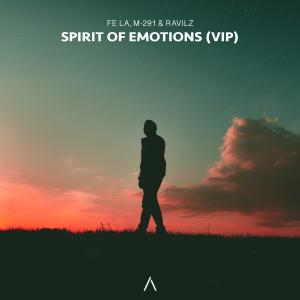 Fe La的专辑Spirit Of Emotions (VIP)