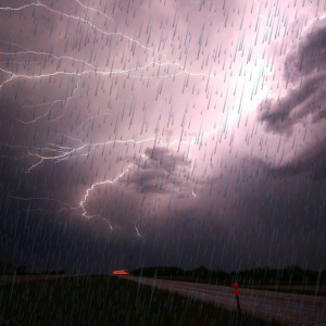 Album Forest Rain Sound for Sleep from Monu