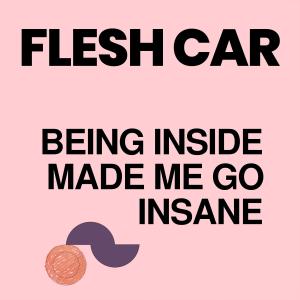 อัลบัม Being Inside Made Me Go Insane ศิลปิน Jherek Bischoff