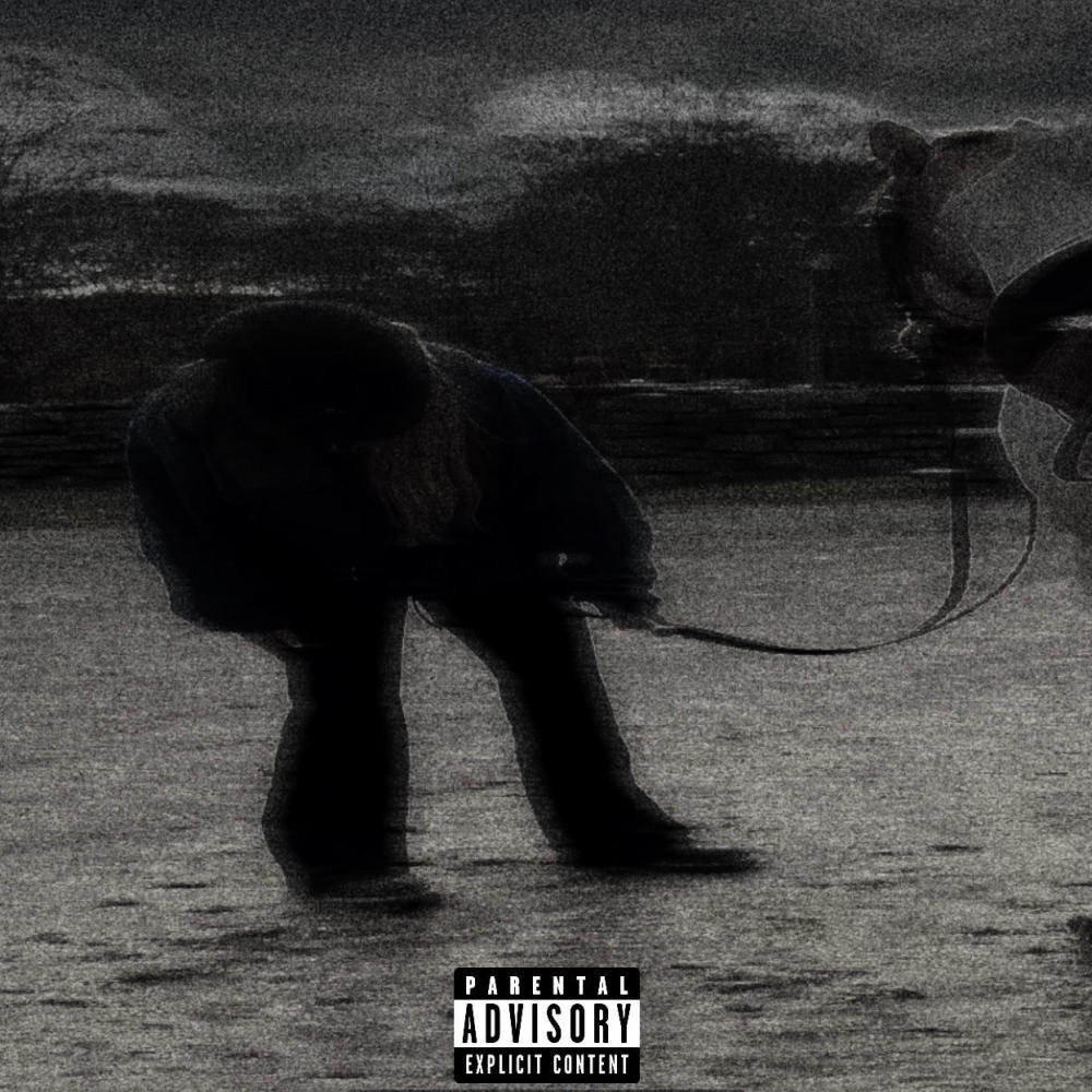 RUN A ZOOM . (Remix|Explicit)