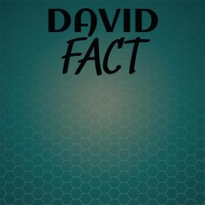 Various的专辑David Fact