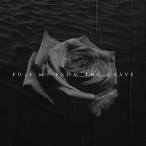 Album Pull Me From The Grave oleh Vacant