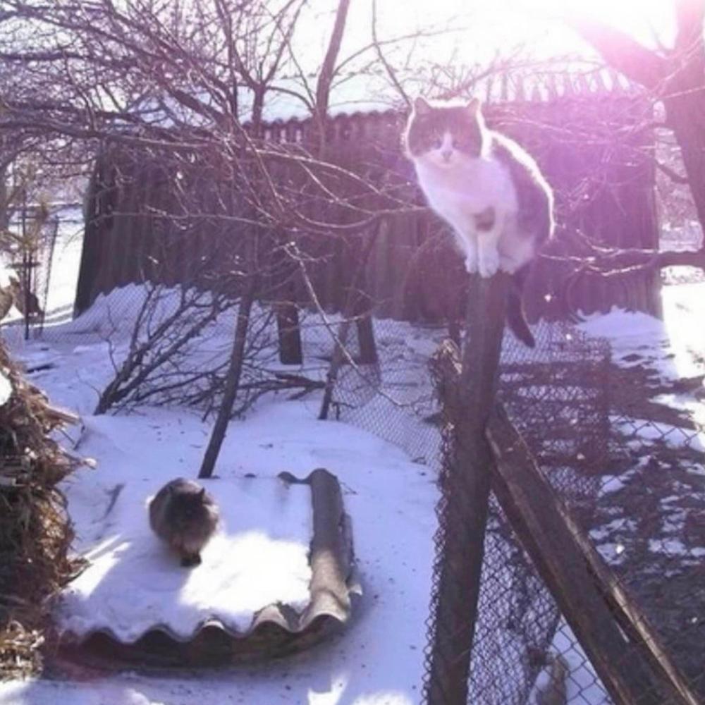 not scared anymore (feat. six days after christmas)