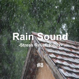 Album Rain Sound 8 - Rain Sound ASMR for Baby Sleep 1 Hour from Rain Sound